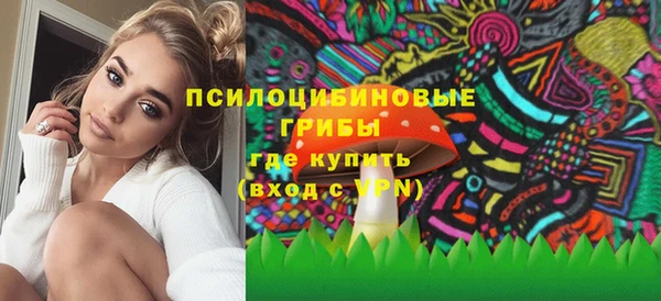 дживик Навашино
