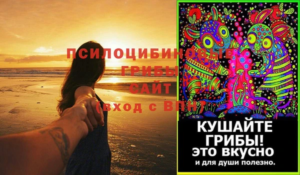 PSILOCYBIN Зуевка