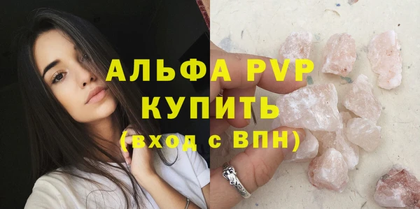стафф Ивангород