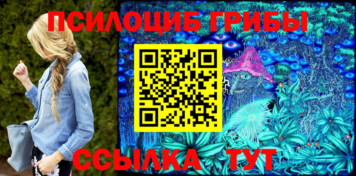 Псилоцибиновые грибы MAGIC MUSHROOMS  Вход с VPN  Качканар 
