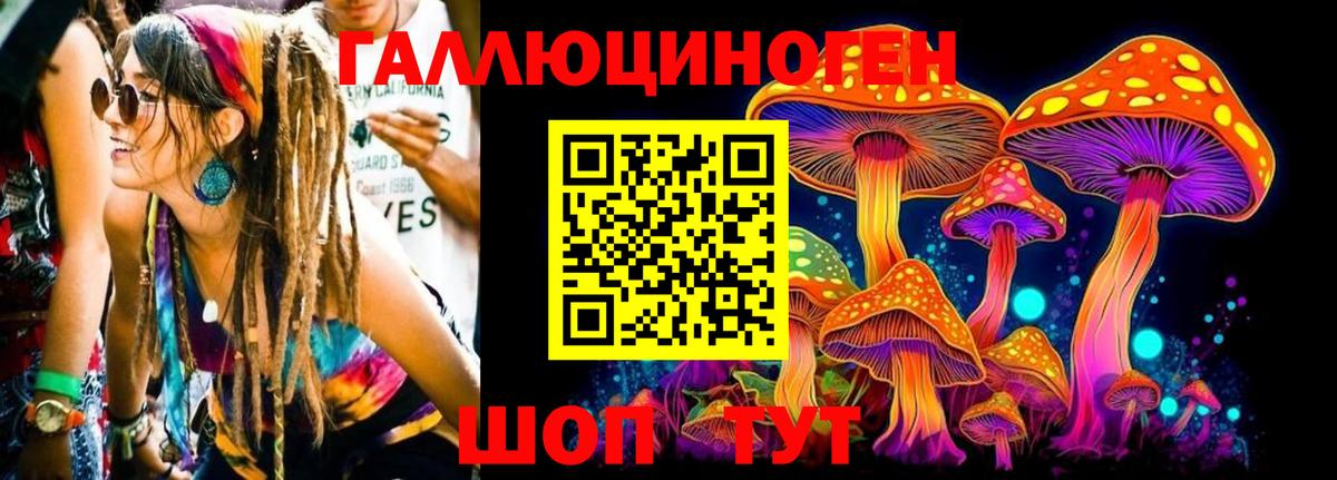 Галлюциногенные грибы MAGIC MUSHROOMS  Качканар 