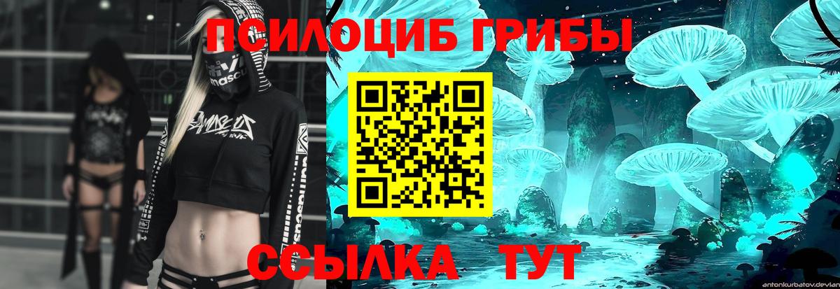 Галлюциногенные грибы MAGIC MUSHROOMS Качканар